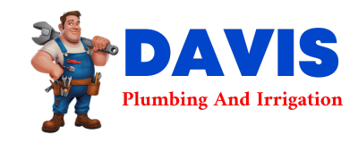 Trusted plumber in FERDINAND